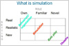 Simulation